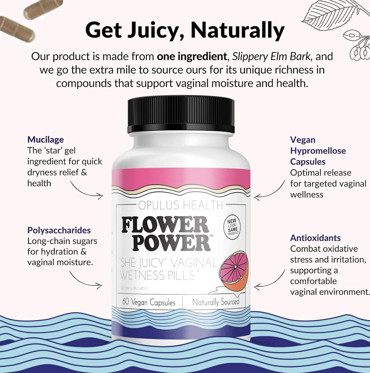 Feminine Support Capsules – Slippery Elm for Vaginal Health - Image 3