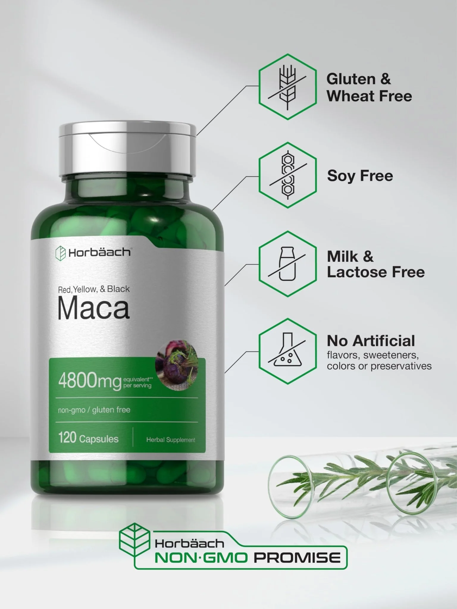 Maca Root Capsules — Female Libido Support | Horbäach - Image 5